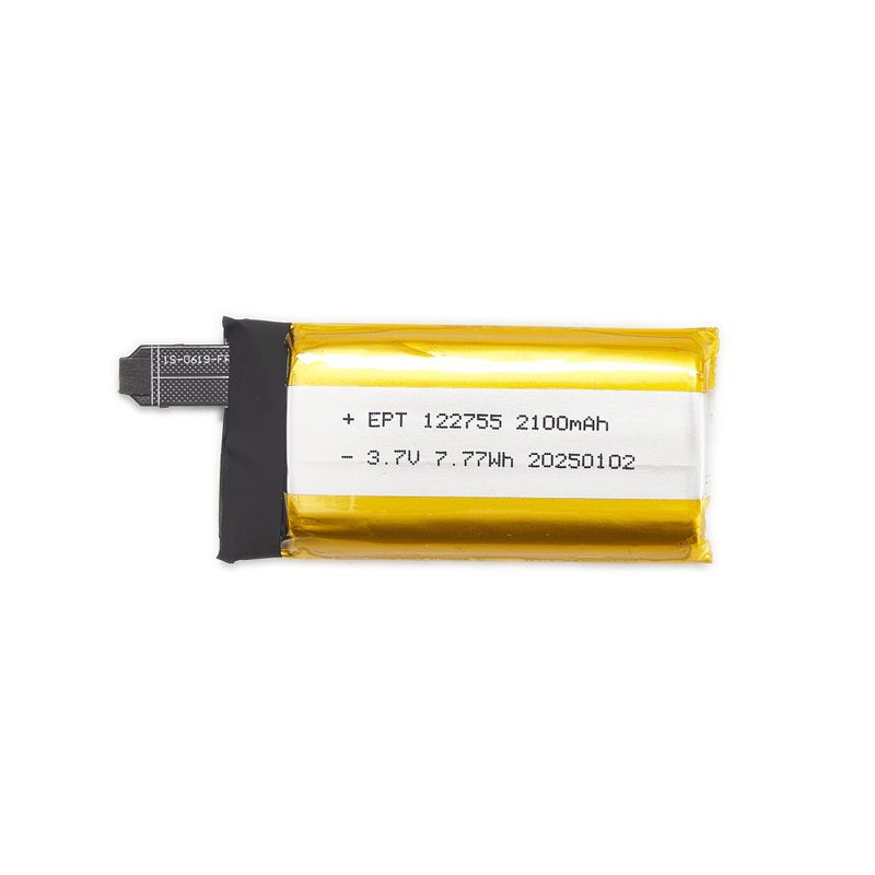 Storm 600 battery